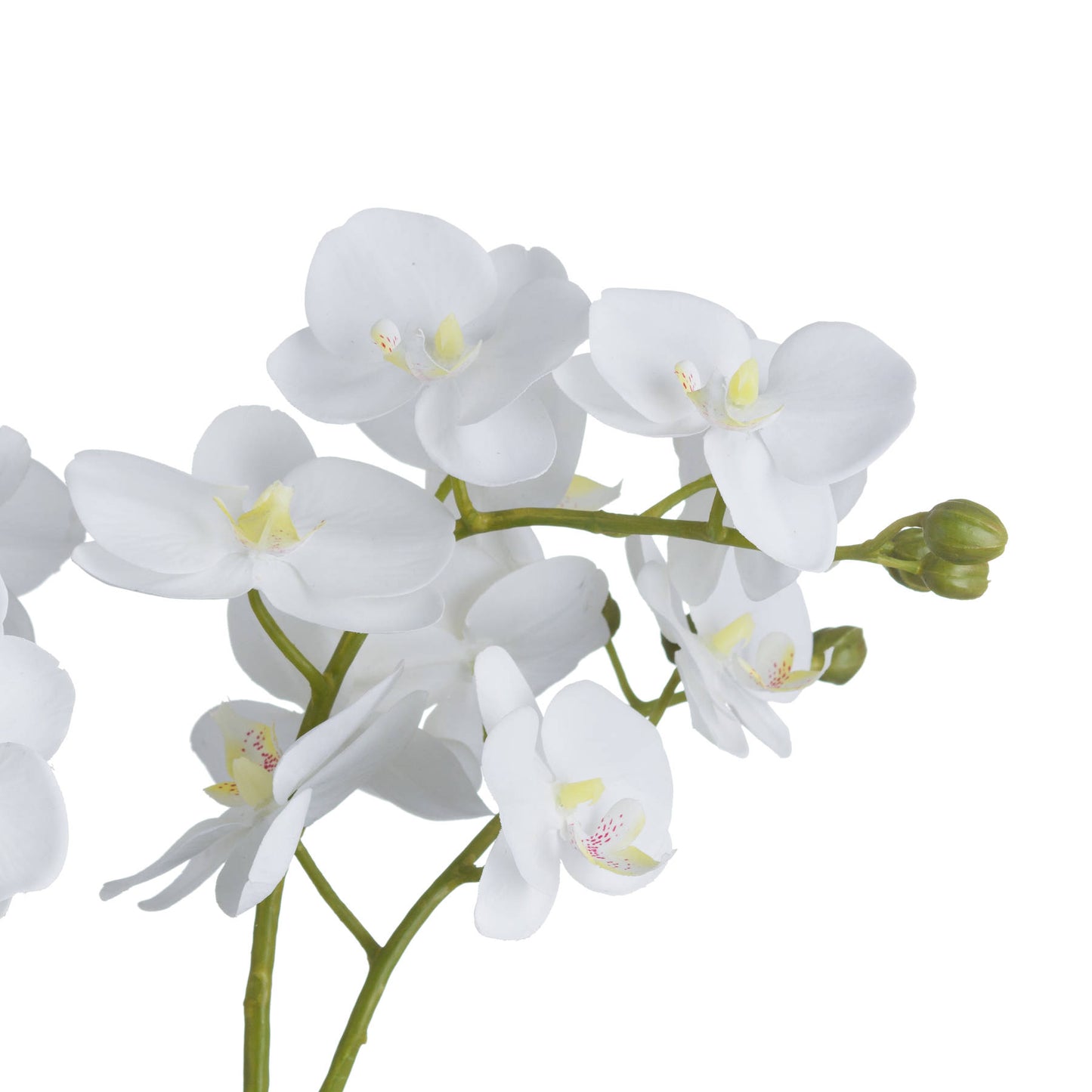 White Faux Orchid in Glass Pot, 61cm