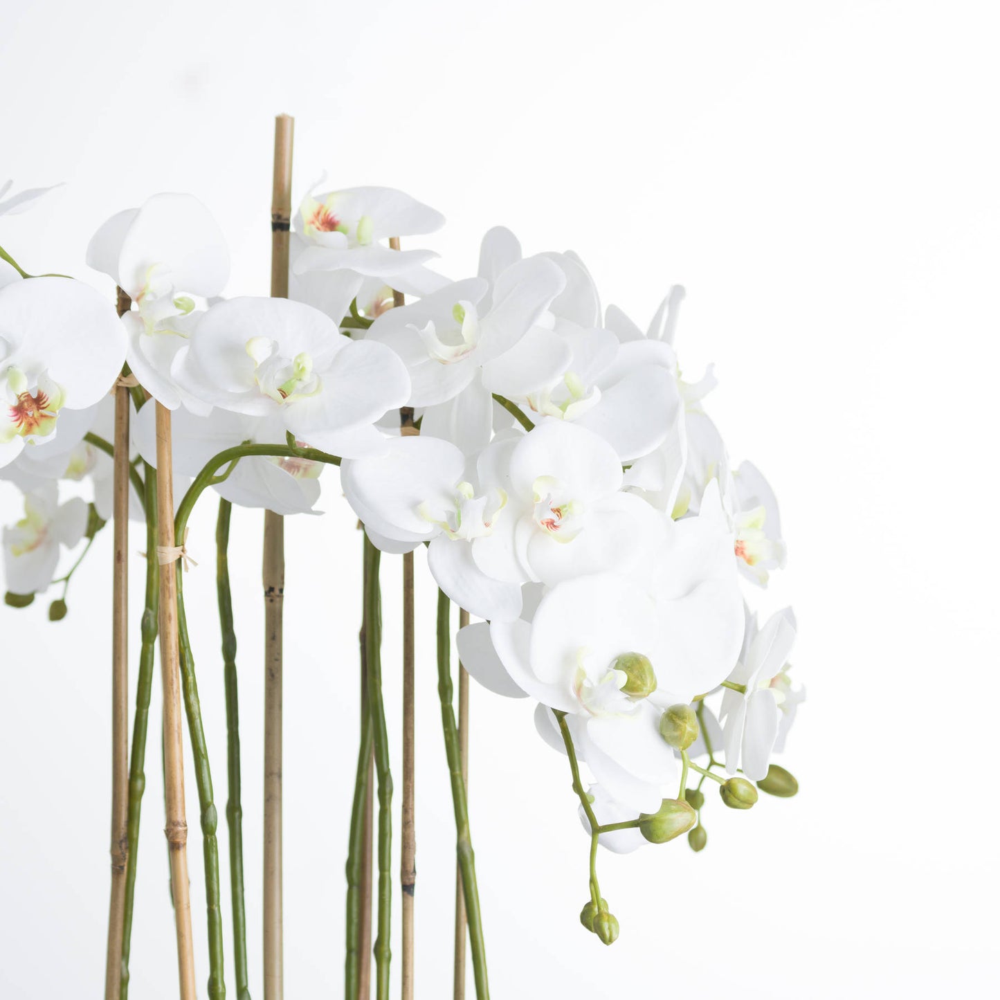 Large White Faux Orchid in Glass Pot, 88cm