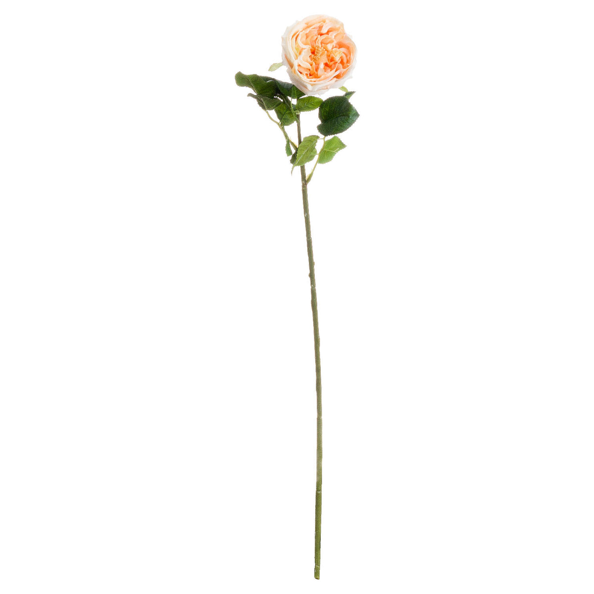 Butter Yellow Faux Portland Rose Stem - PLAINLY DOES IT
