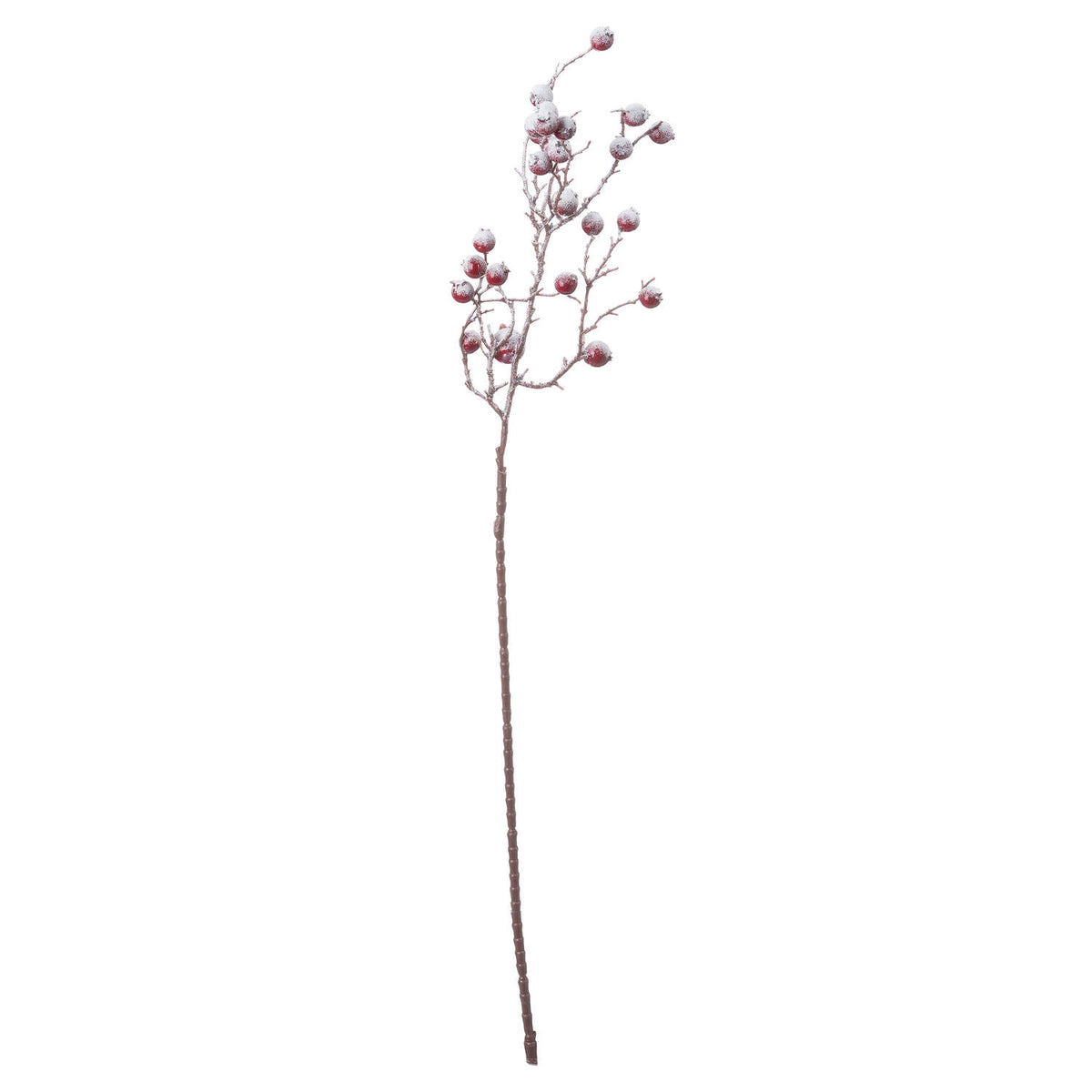 Large Red Festive Berry - PLAINLY DOES IT