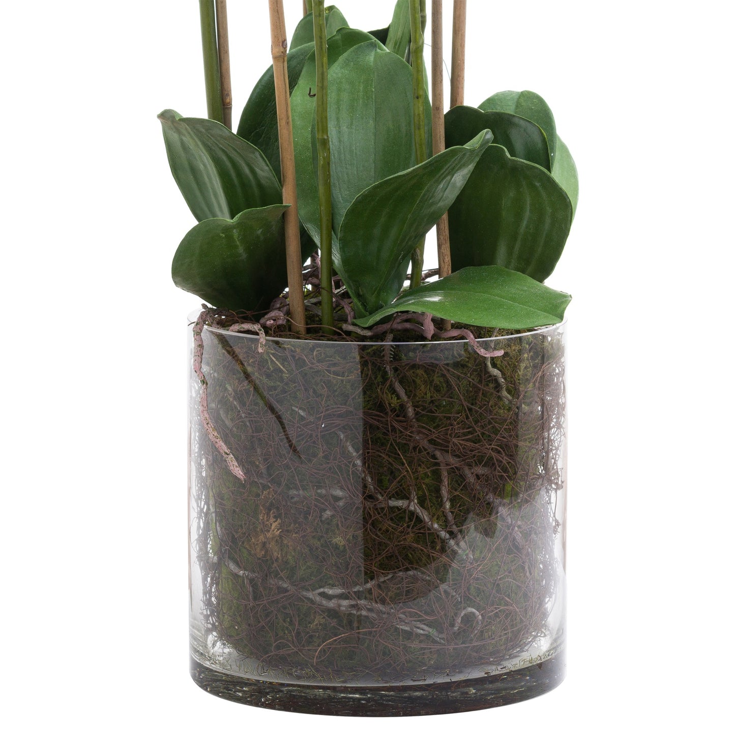 Large Tall White Faux Orchid in Glass Pot