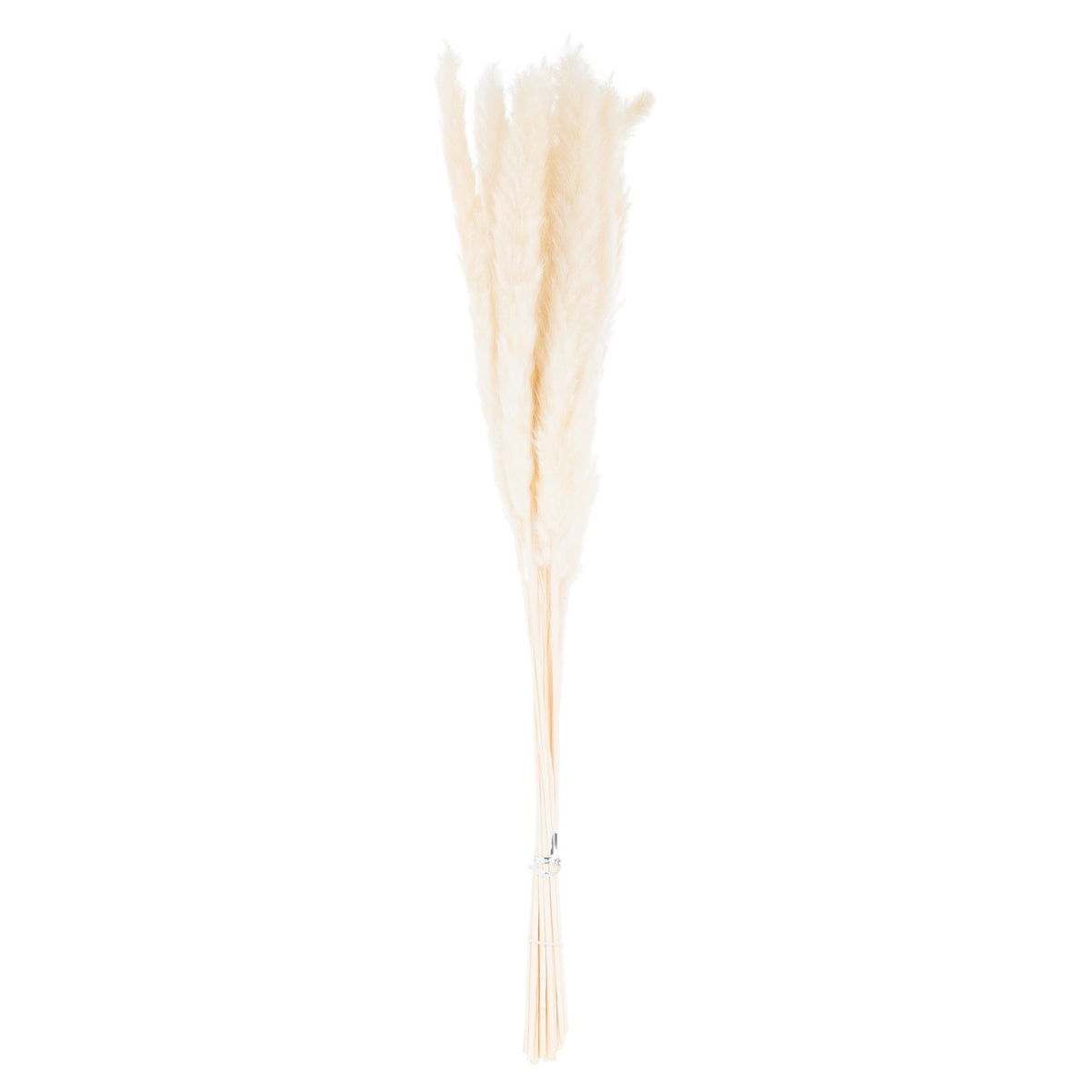 Mini White Faux Pampas Grass, Bunch of 15 - PLAINLY DOES IT