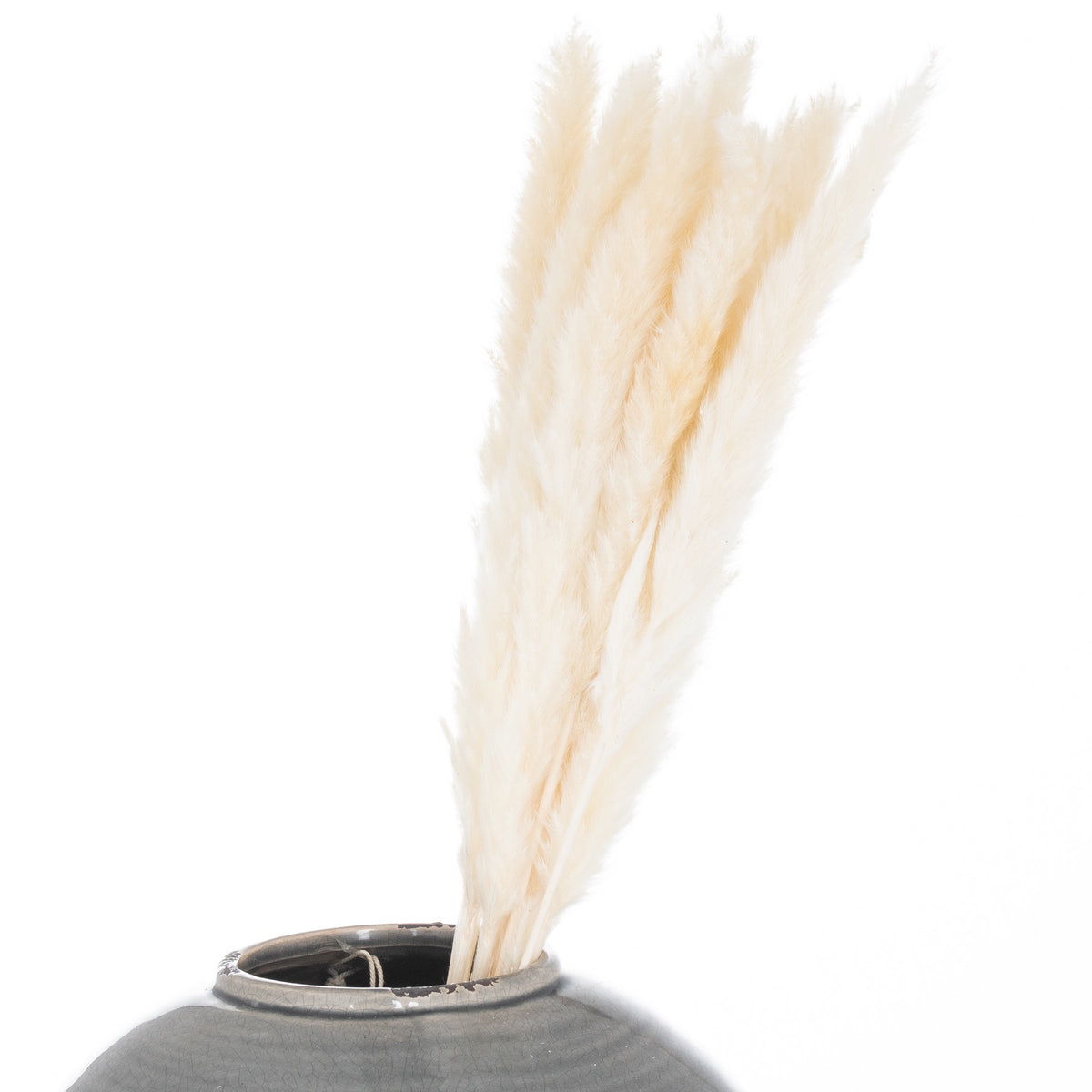 Mini White Faux Pampas Grass, Bunch of 15 - PLAINLY DOES IT