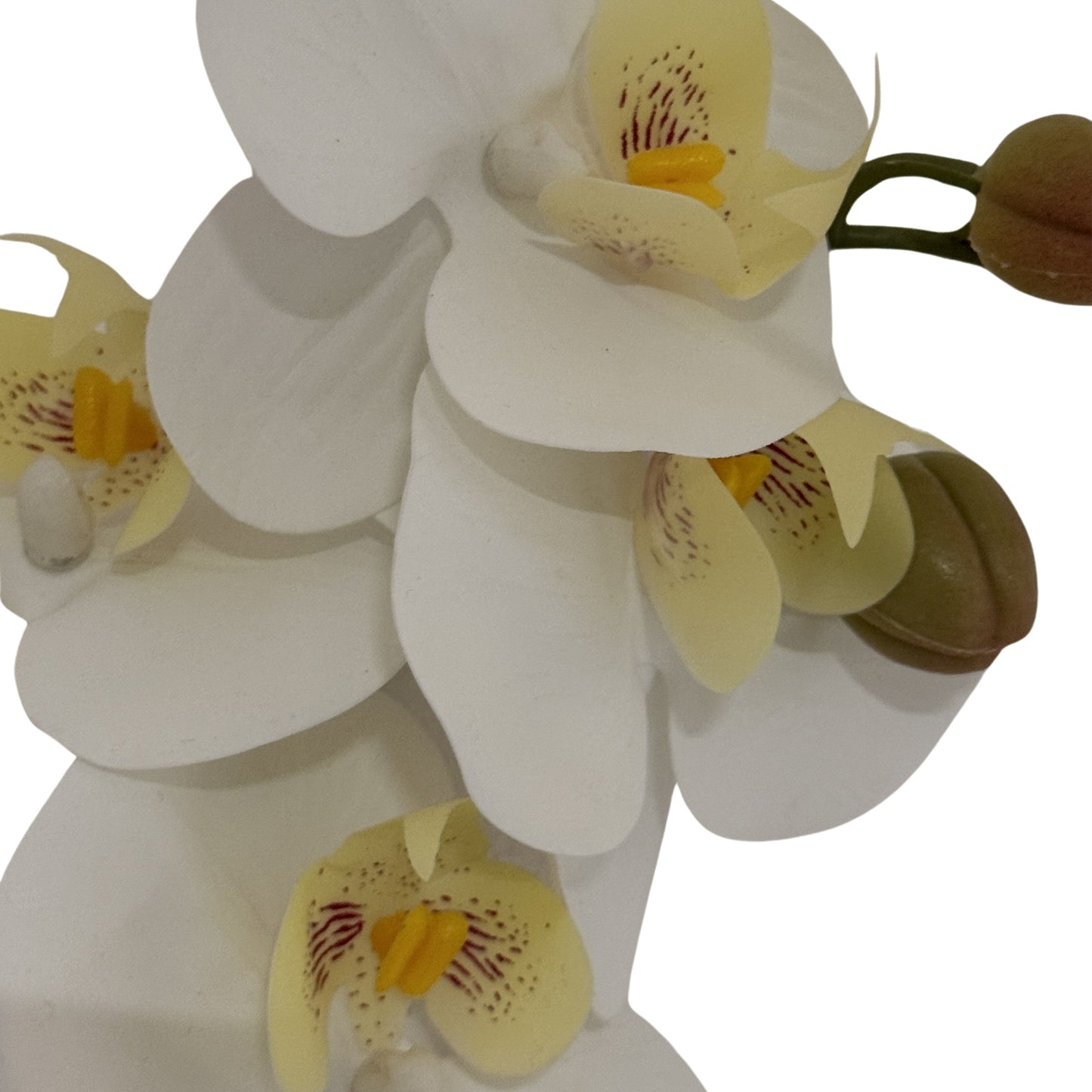 Tall White Faux Butterfly Orchid Stem, 103cm