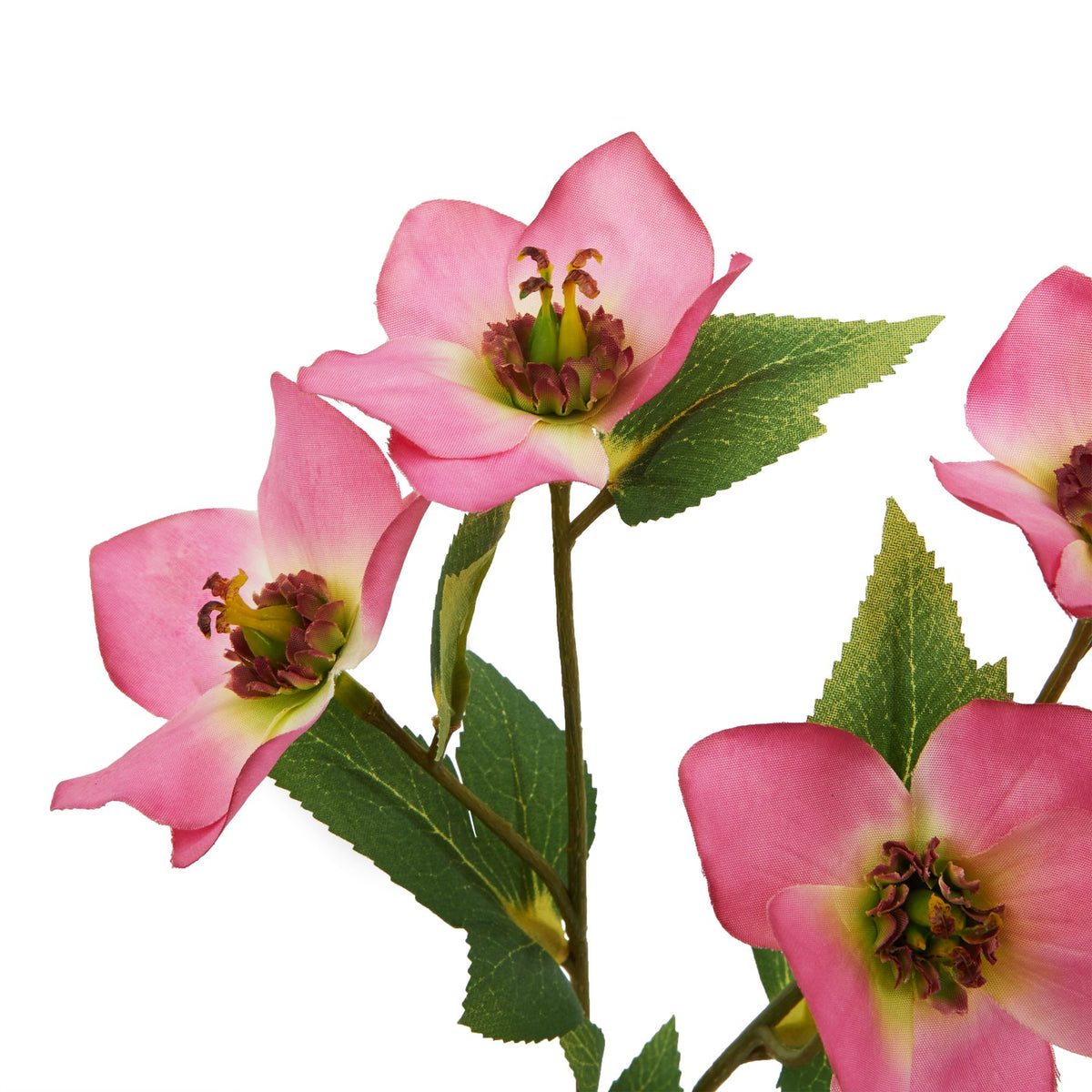 Variegated Pink Faux Hellebore Stem - PLAINLY DOES IT