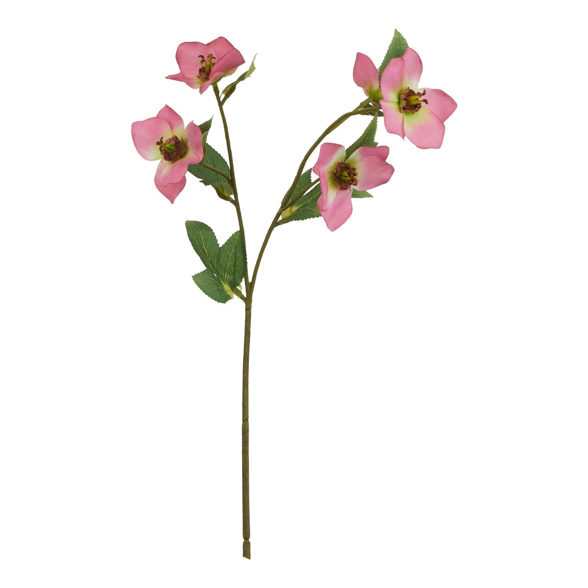 Variegated Pink Faux Hellebore Stem - PLAINLY DOES IT