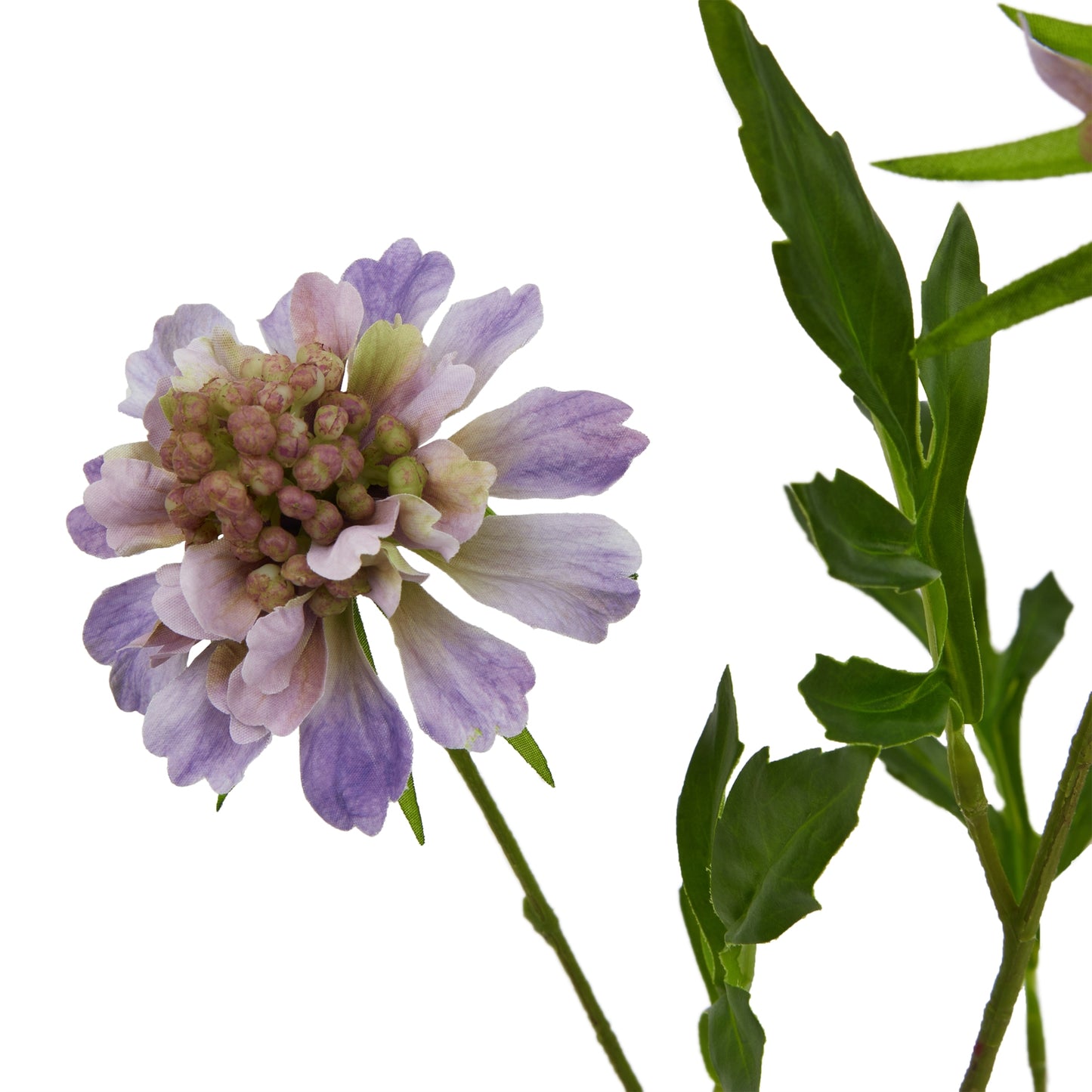 Purple Faux Scabious Stem, 65cm
