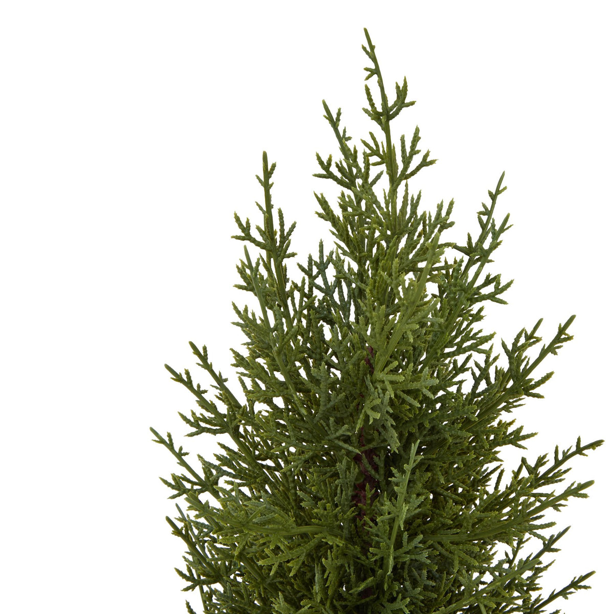 Small Green Fir Tree In Wood Log - PLAINLY DOES IT