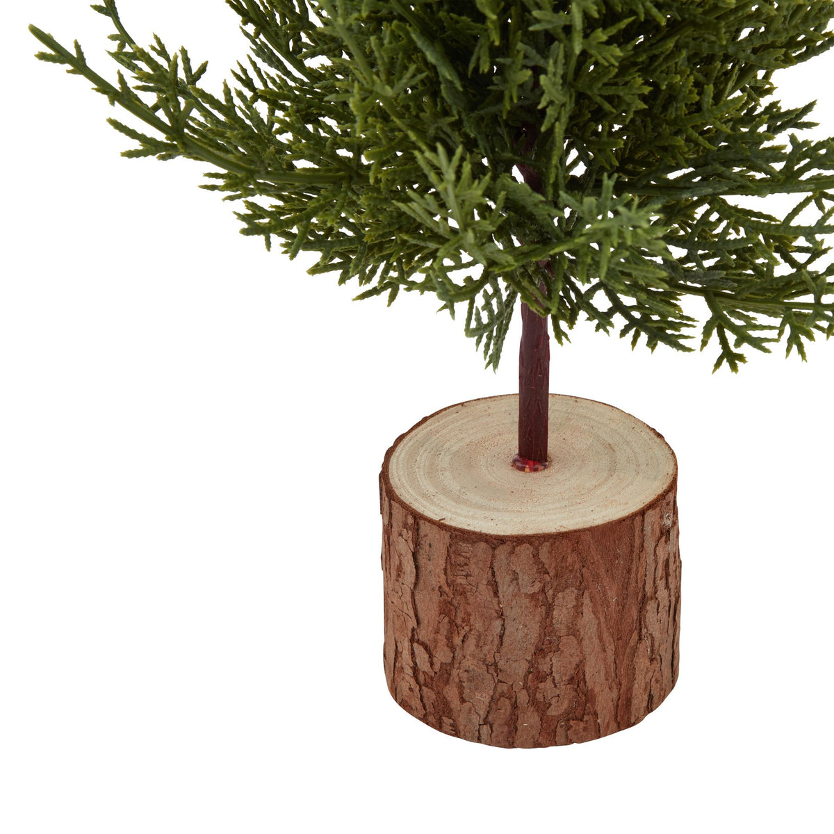 Small Green Fir Tree In Wood Log - PLAINLY DOES IT