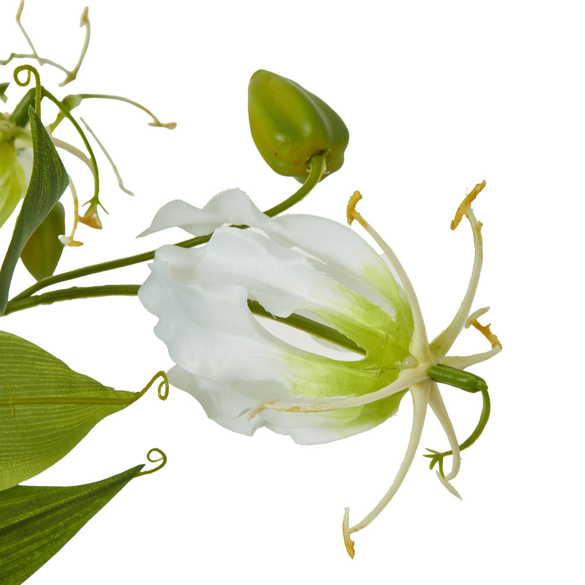 Cream Faux Gloriosa Spray - PLAINLY DOES IT