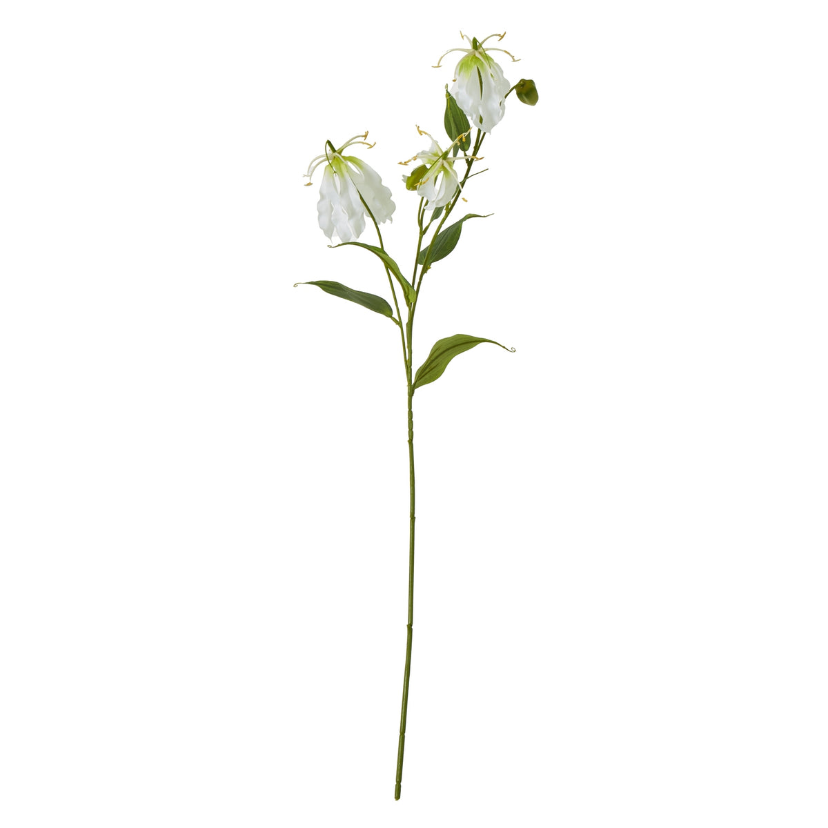 Cream Faux Gloriosa Spray - PLAINLY DOES IT