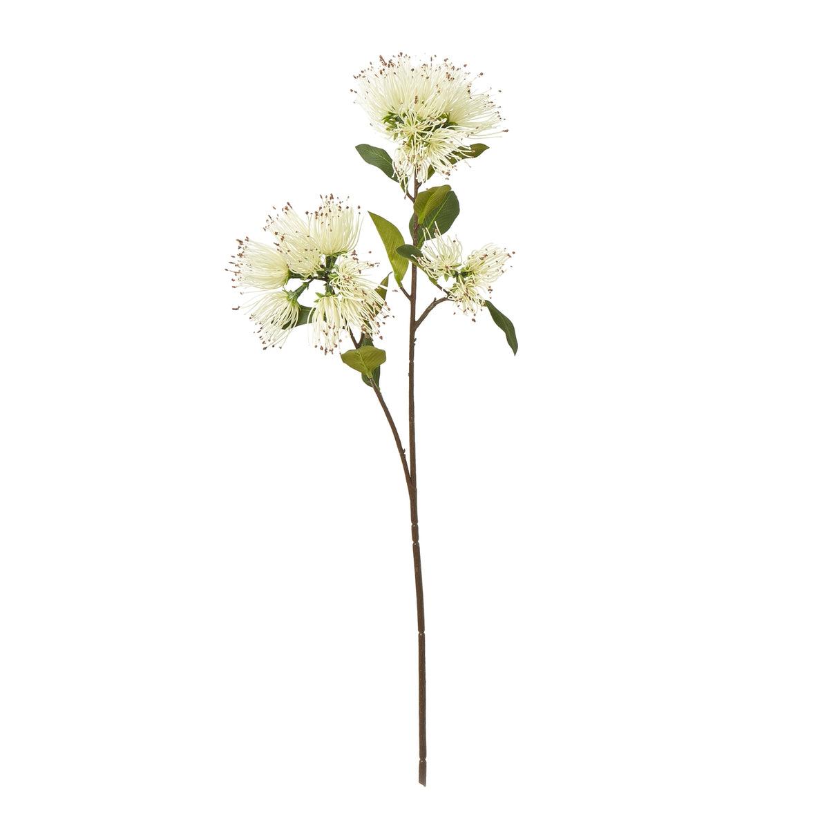Cream Faux Protea Nitida Spray - PLAINLY DOES IT
