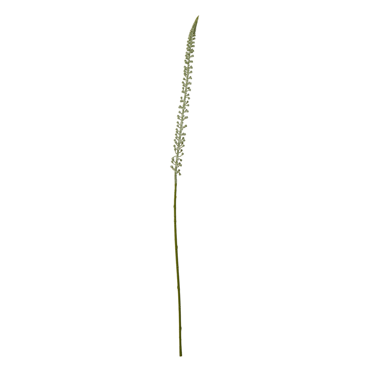 White Faux Eremurus Stem - PLAINLY DOES IT