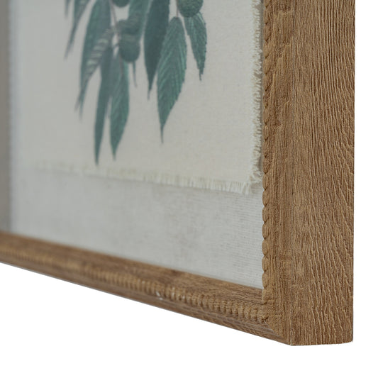 Flora & Fauna Collection Warblers On Linen In Beaded Frame