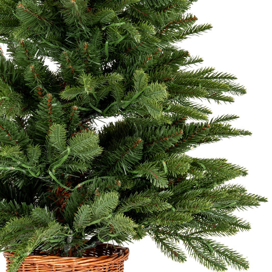 Norway Fir Pre-Lit LLED 300L Fir Tree In Rattan Pot - PLAINLY DOES IT