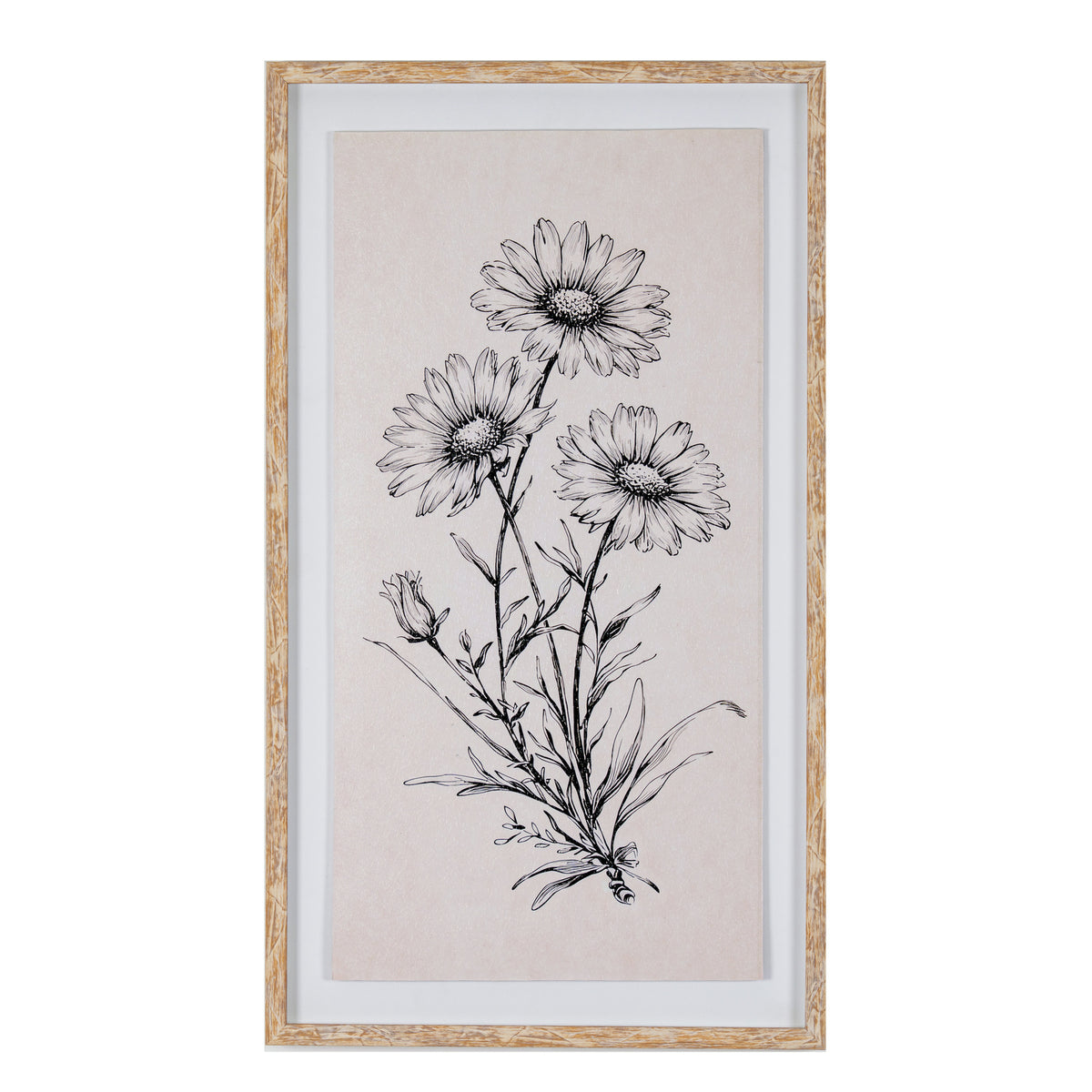 Sketchbook Daisies in Frame