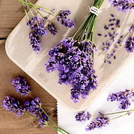 Valentte Pure Lavender fragrance lifestyle image