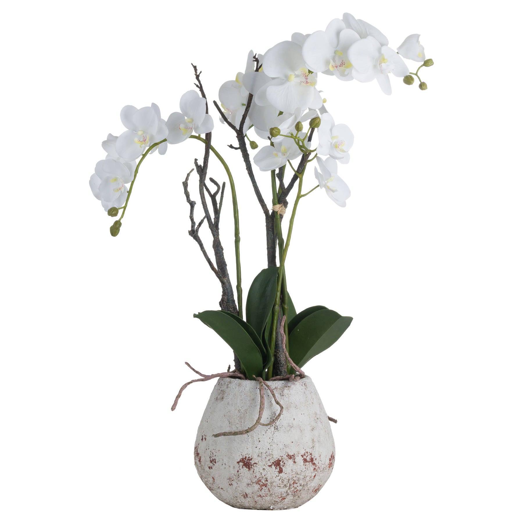 White Faux Orchid in Stone Pot, 70cm