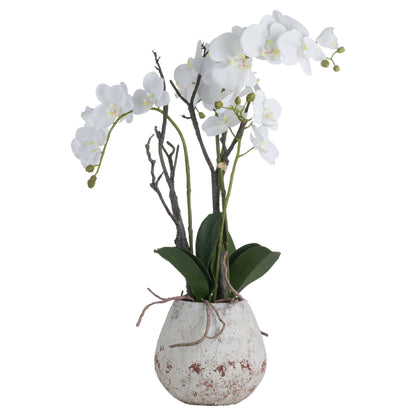 White Faux Orchid in Stone Pot, 70cm