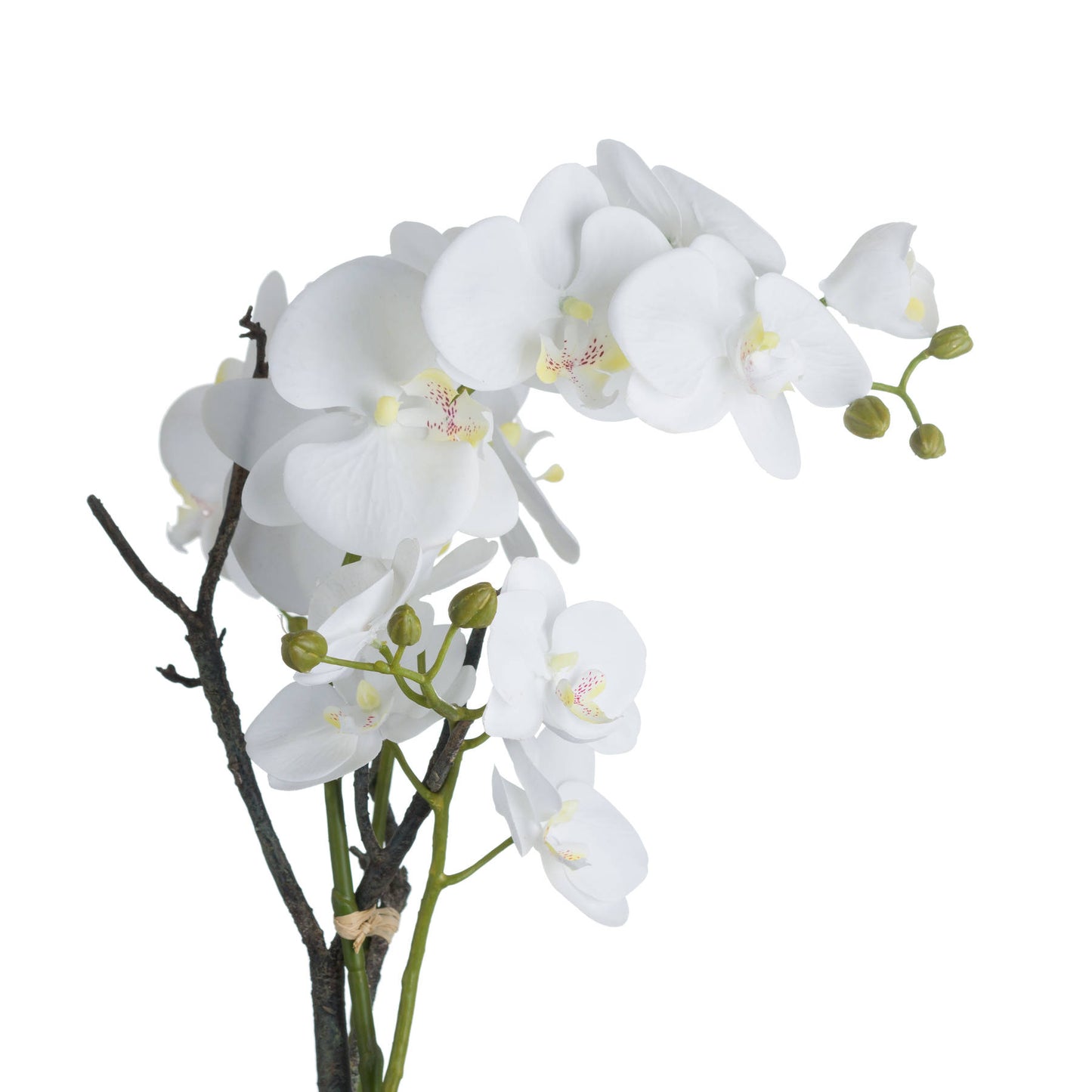 White Faux Orchid in Stone Pot, 70cm