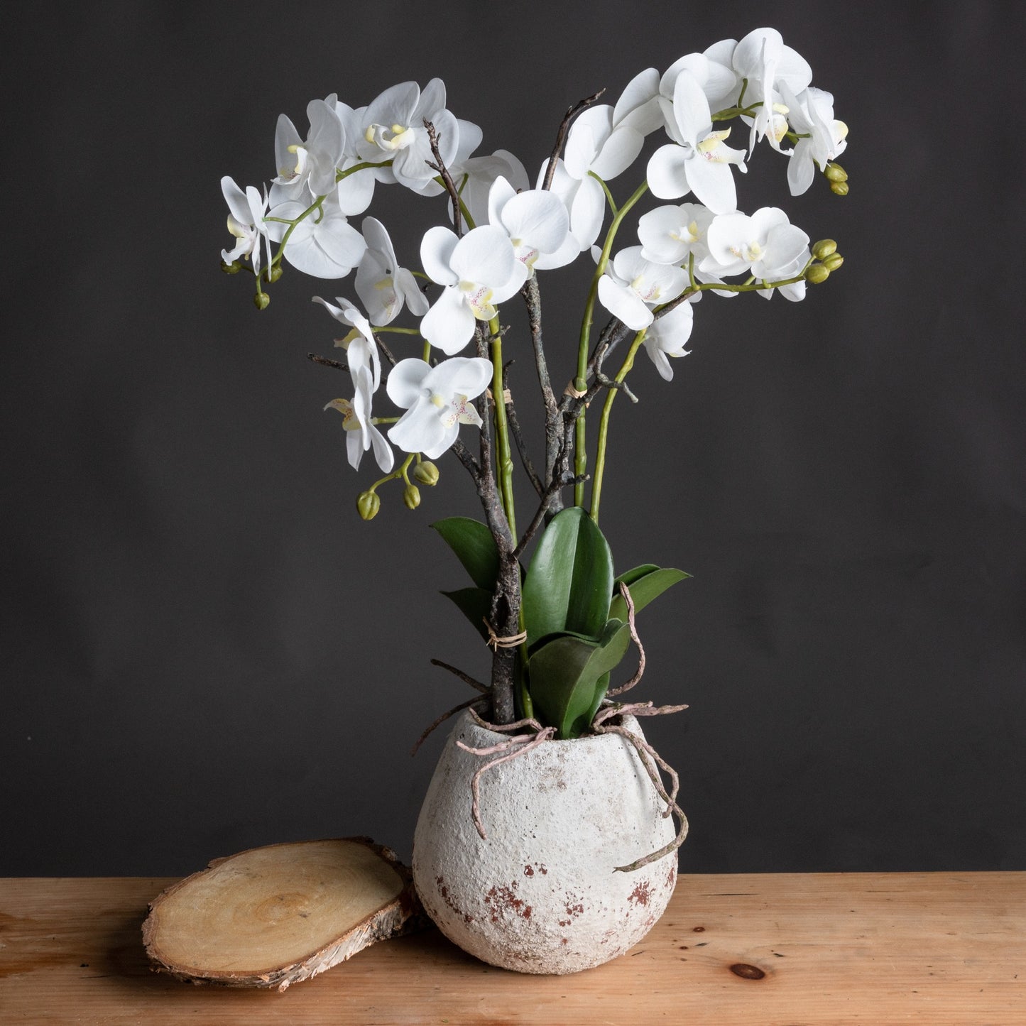 White Faux Orchid in Stone Pot, 70cm