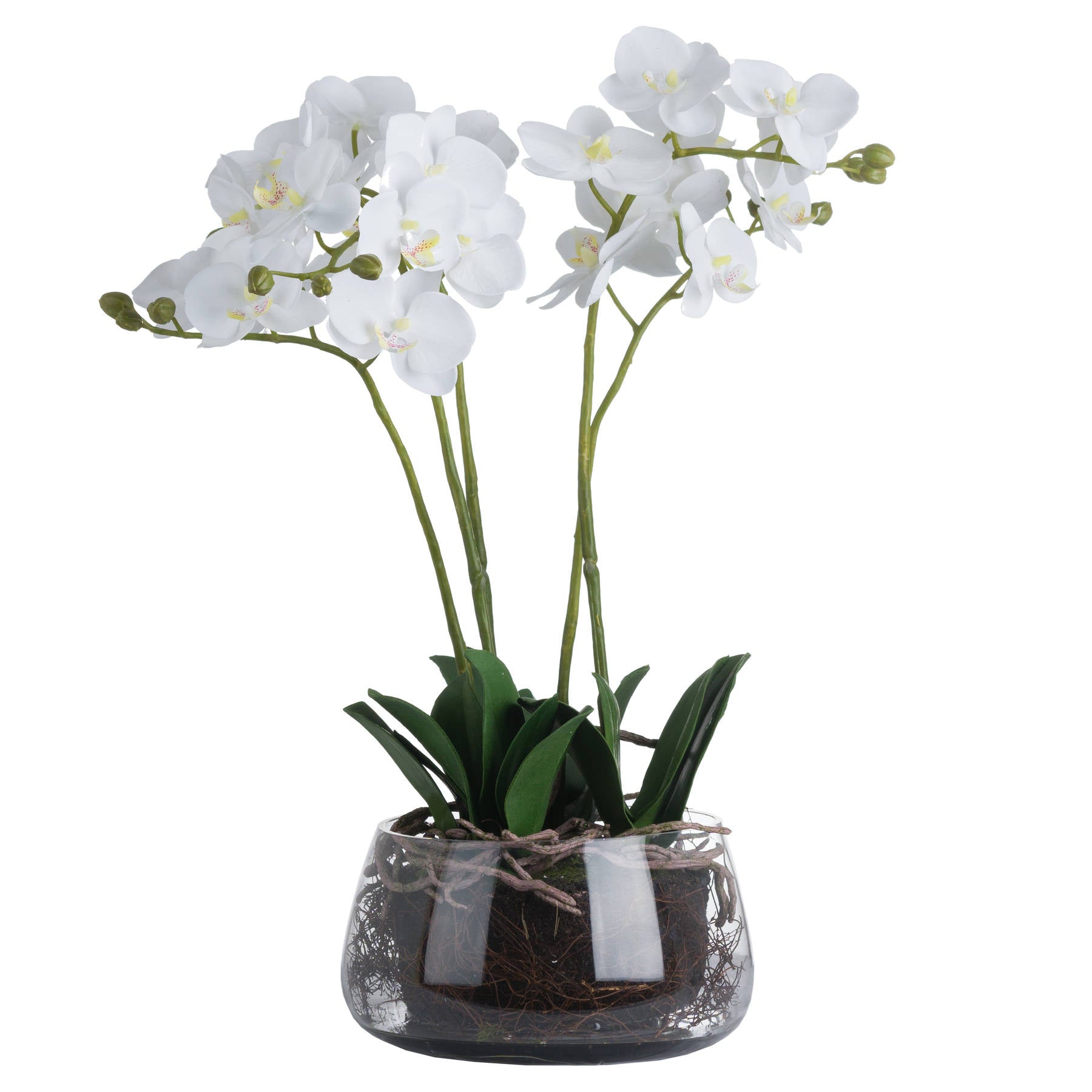 White Faux Orchid in Glass Pot, 61cm
