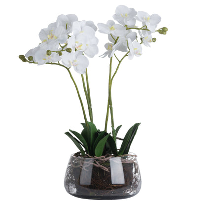 White Faux Orchid in Glass Pot, 61cm