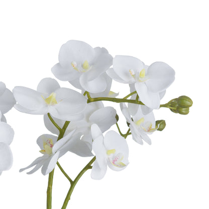 White Faux Orchid in Glass Pot, 61cm