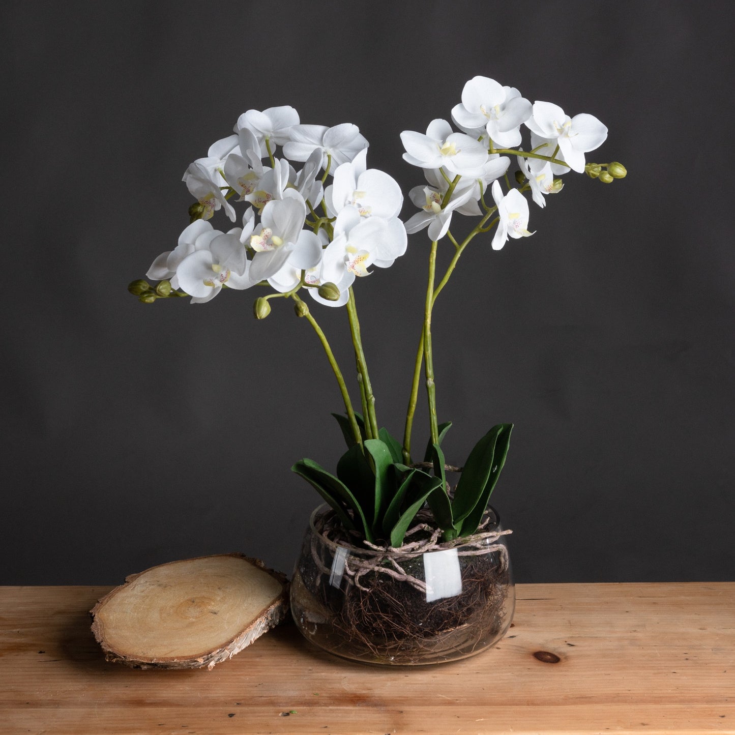 White Faux Orchid in Glass Pot, 61cm