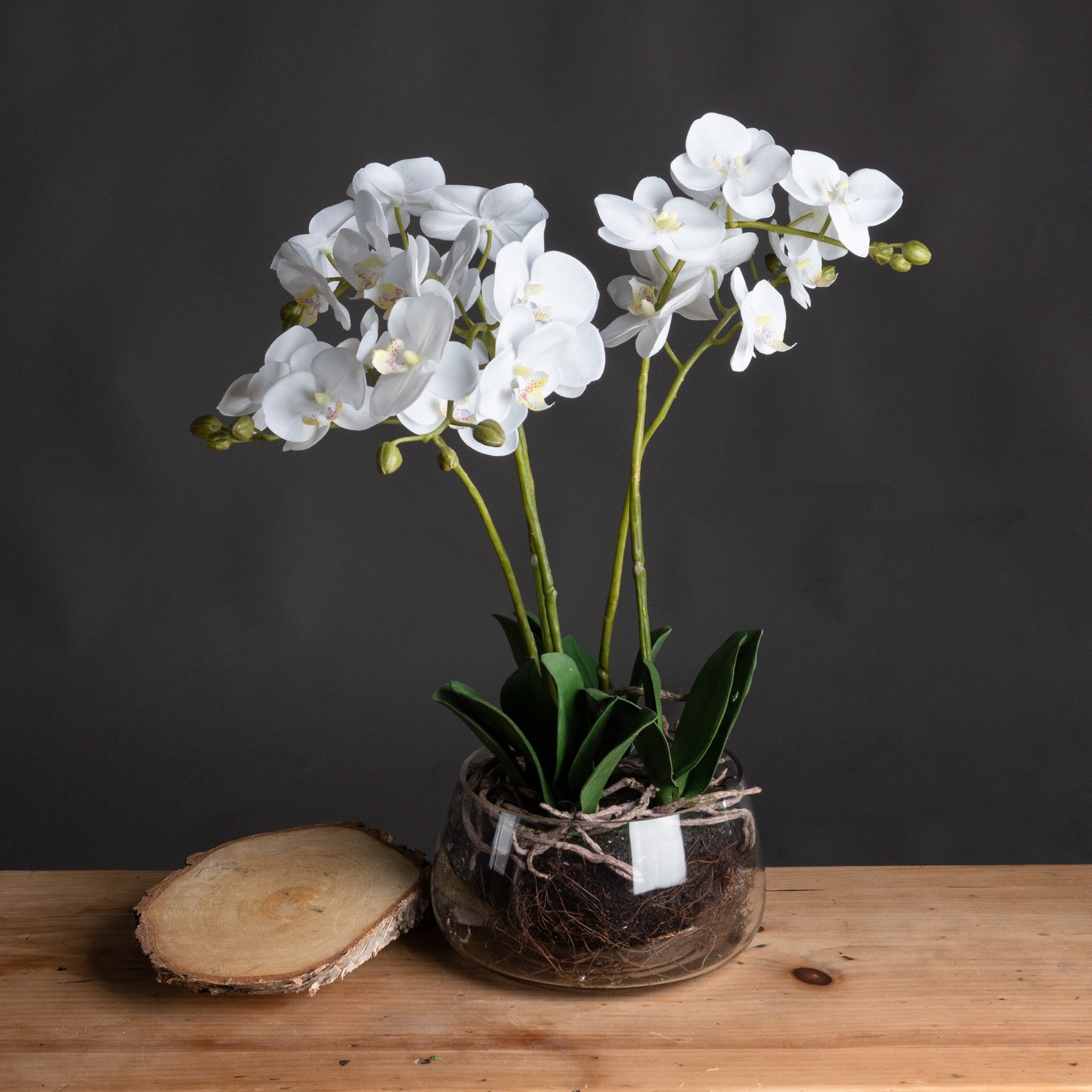 White Faux Orchid in Glass Pot, 61cm