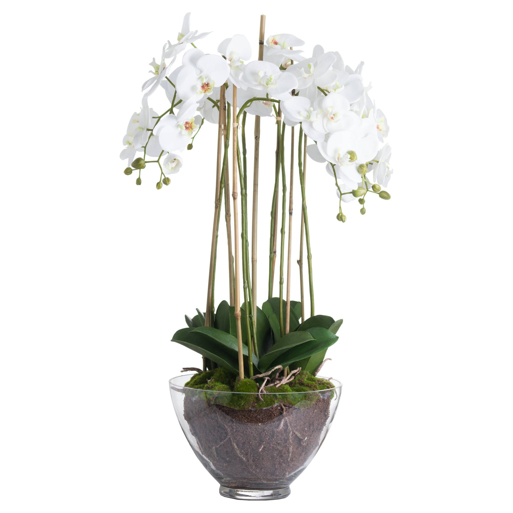 Large White Faux Orchid in Glass Pot, 88cm