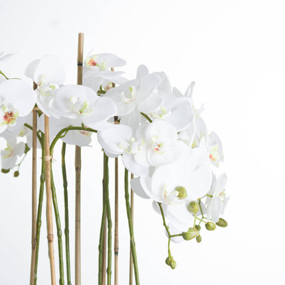 Large White Faux Orchid in Glass Pot, 88cm