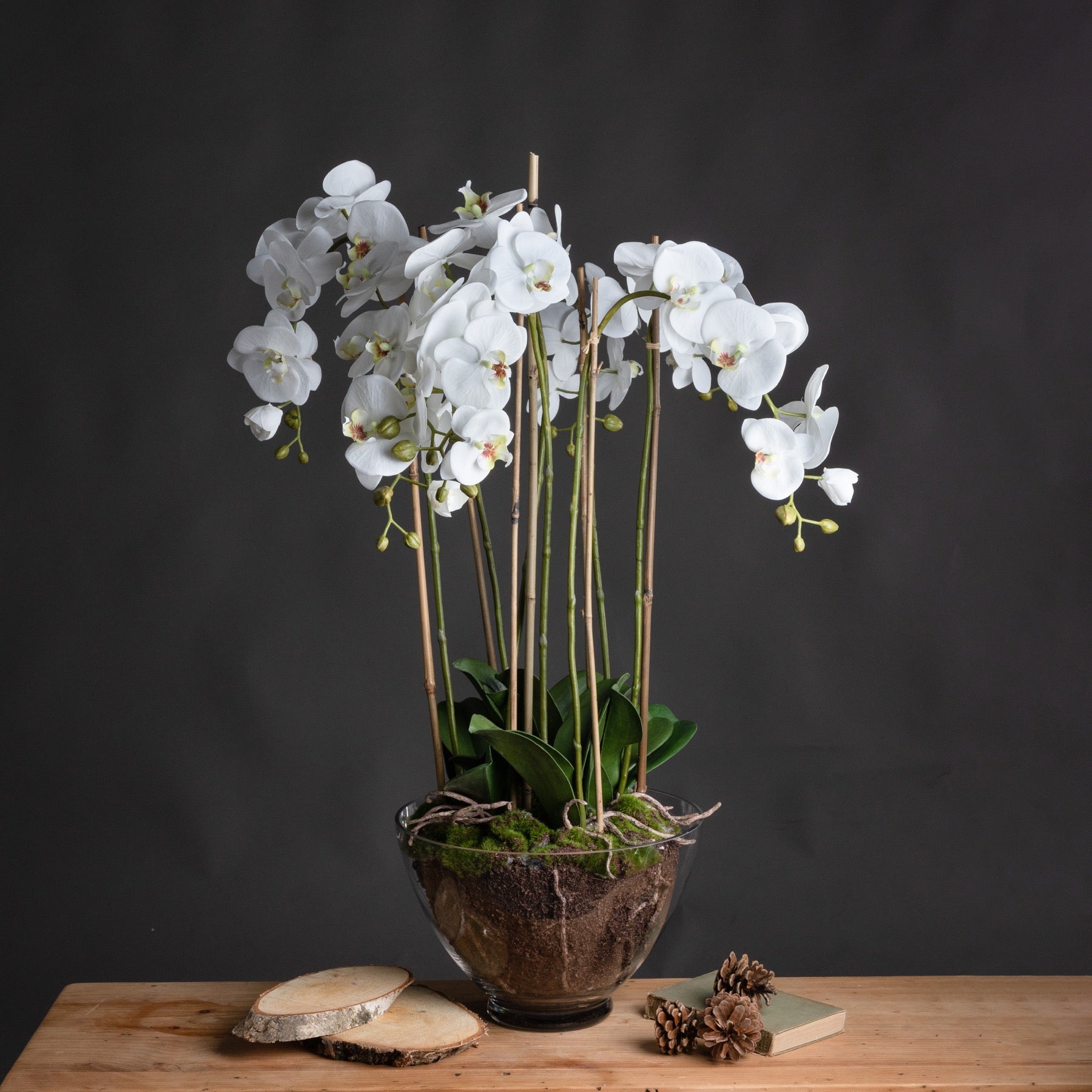Large White Faux Orchid in Glass Pot, 88cm