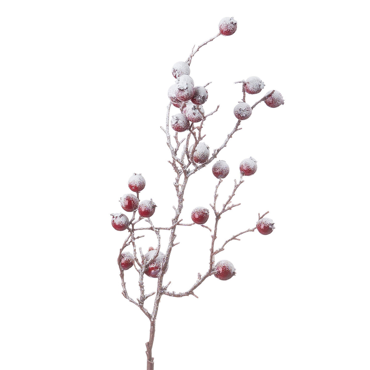 Large Red Festive Berry - PLAINLY DOES IT