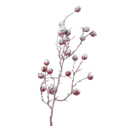 Large Red Festive Berry - PLAINLY DOES IT