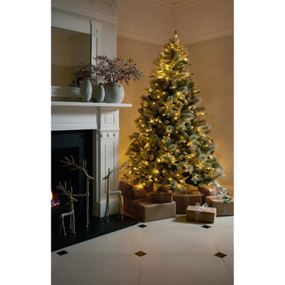 Large Red Festive Berry - PLAINLY DOES IT