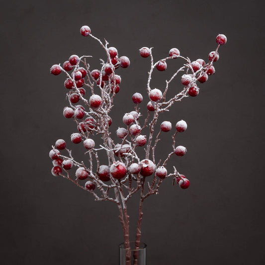 Large Red Festive Berry - PLAINLY DOES IT