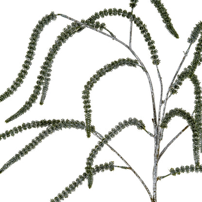 Festive Amaranthus - PLAINLY DOES IT