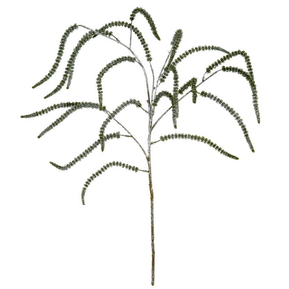 Festive Amaranthus - PLAINLY DOES IT