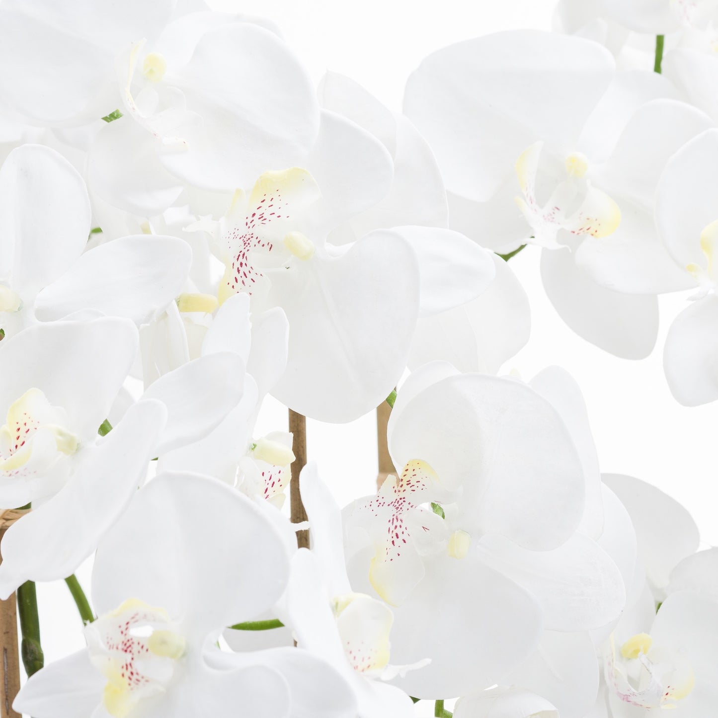 Large Tall White Faux Orchid in Glass Pot