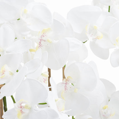 Large Tall White Faux Orchid in Glass Pot