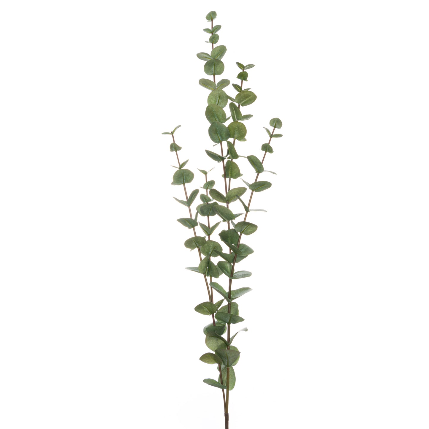 Large Cineraria Faux Eucalyptus Spray, 110cm