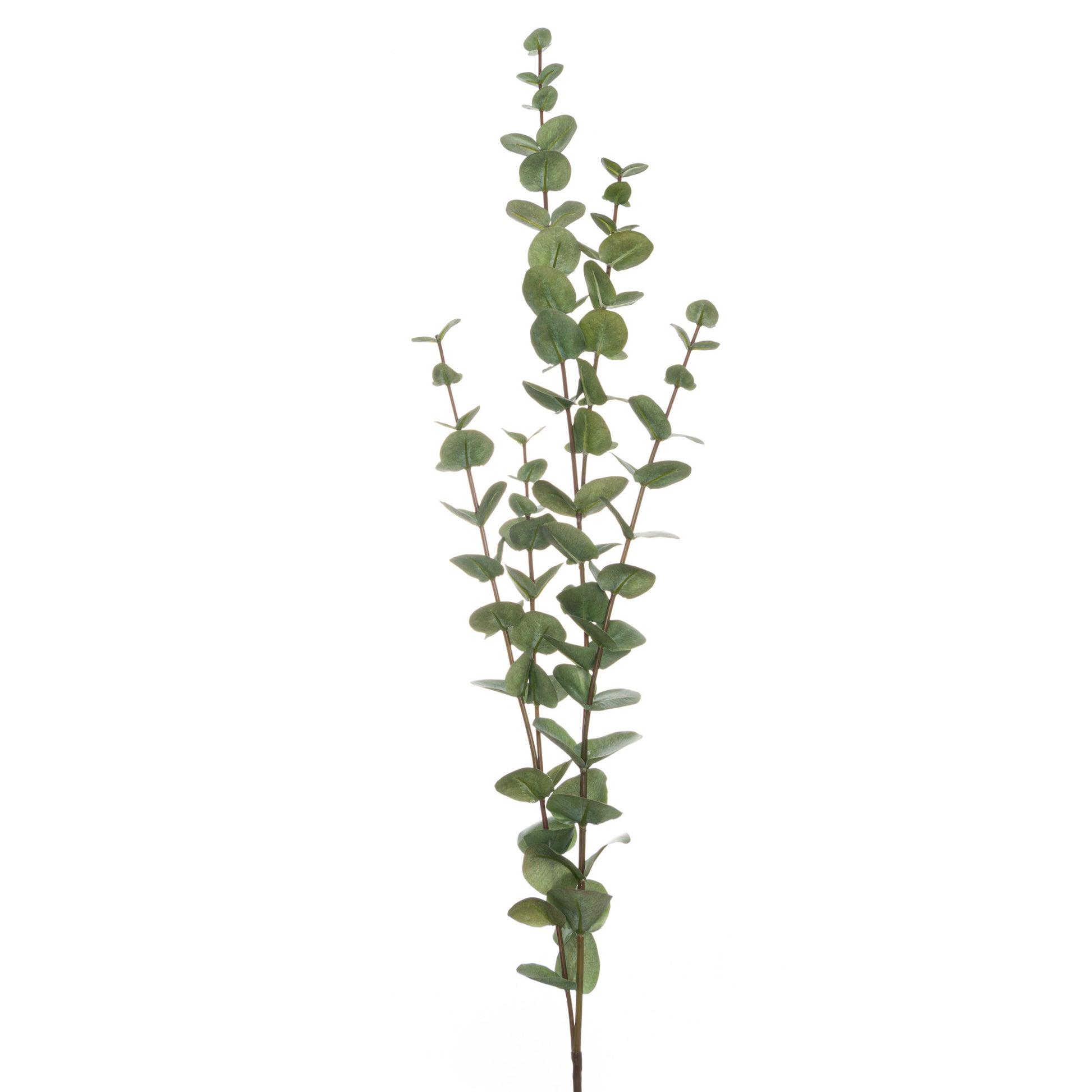Large Cineraria Faux Eucalyptus Spray, 110cm
