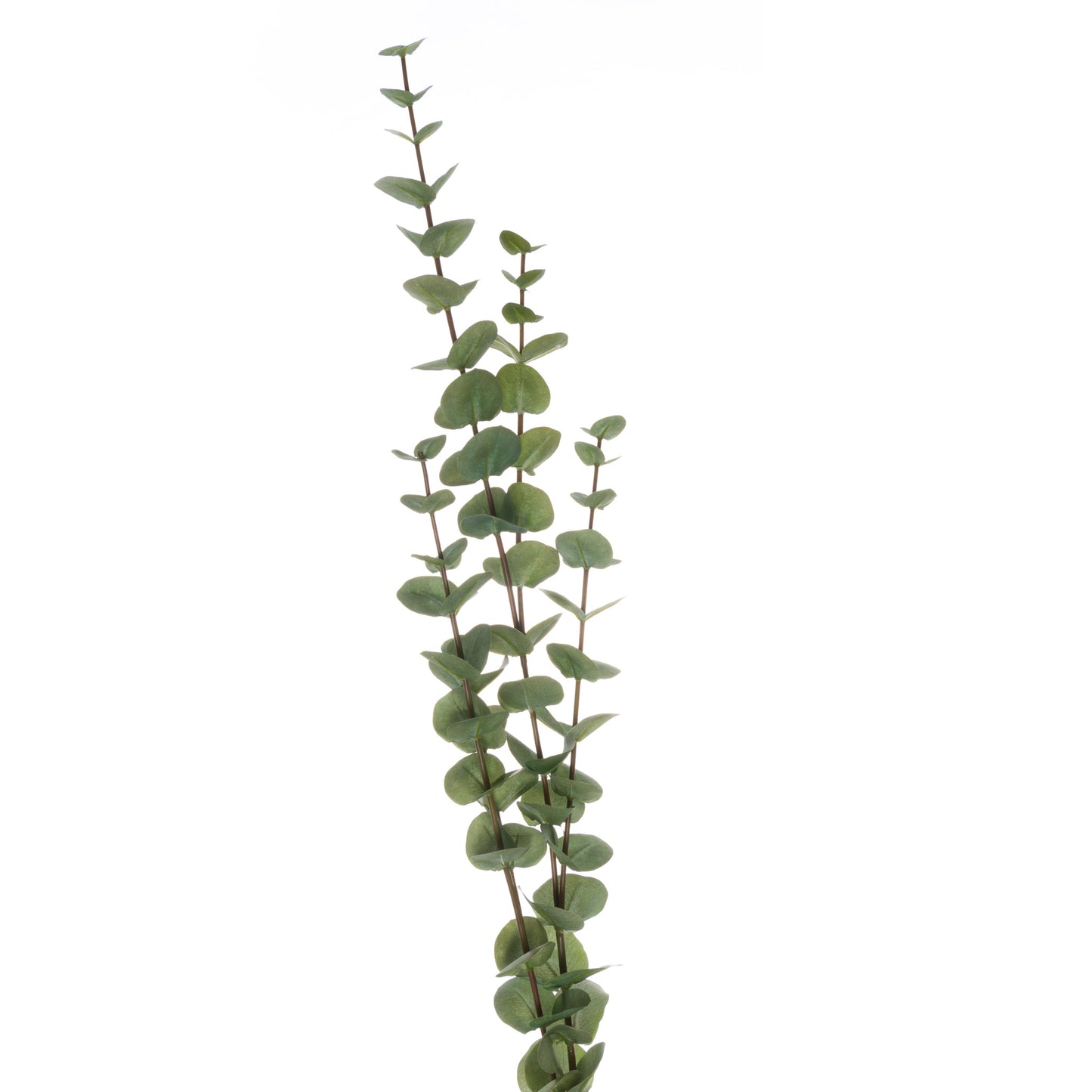 Large Cineraria Faux Eucalyptus Spray, 110cm