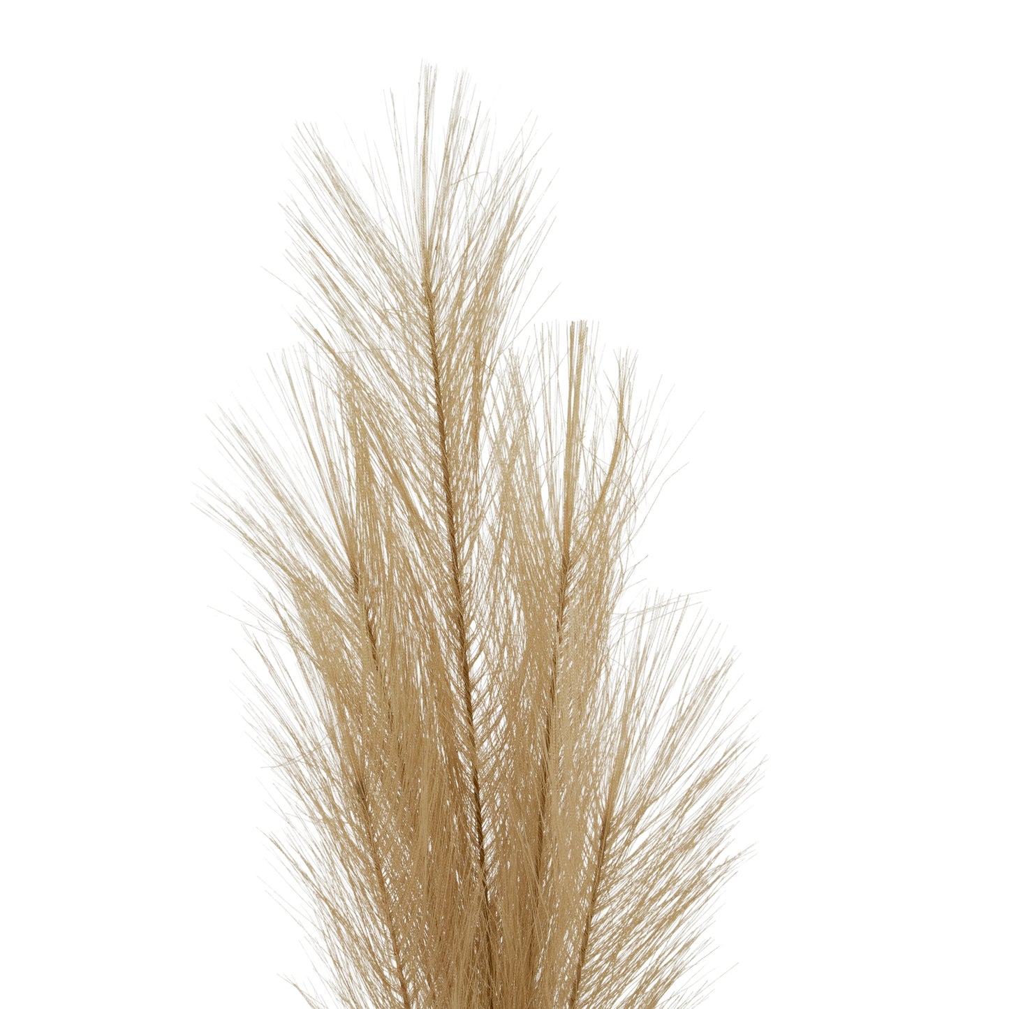 Faux Pampas Grass Stem