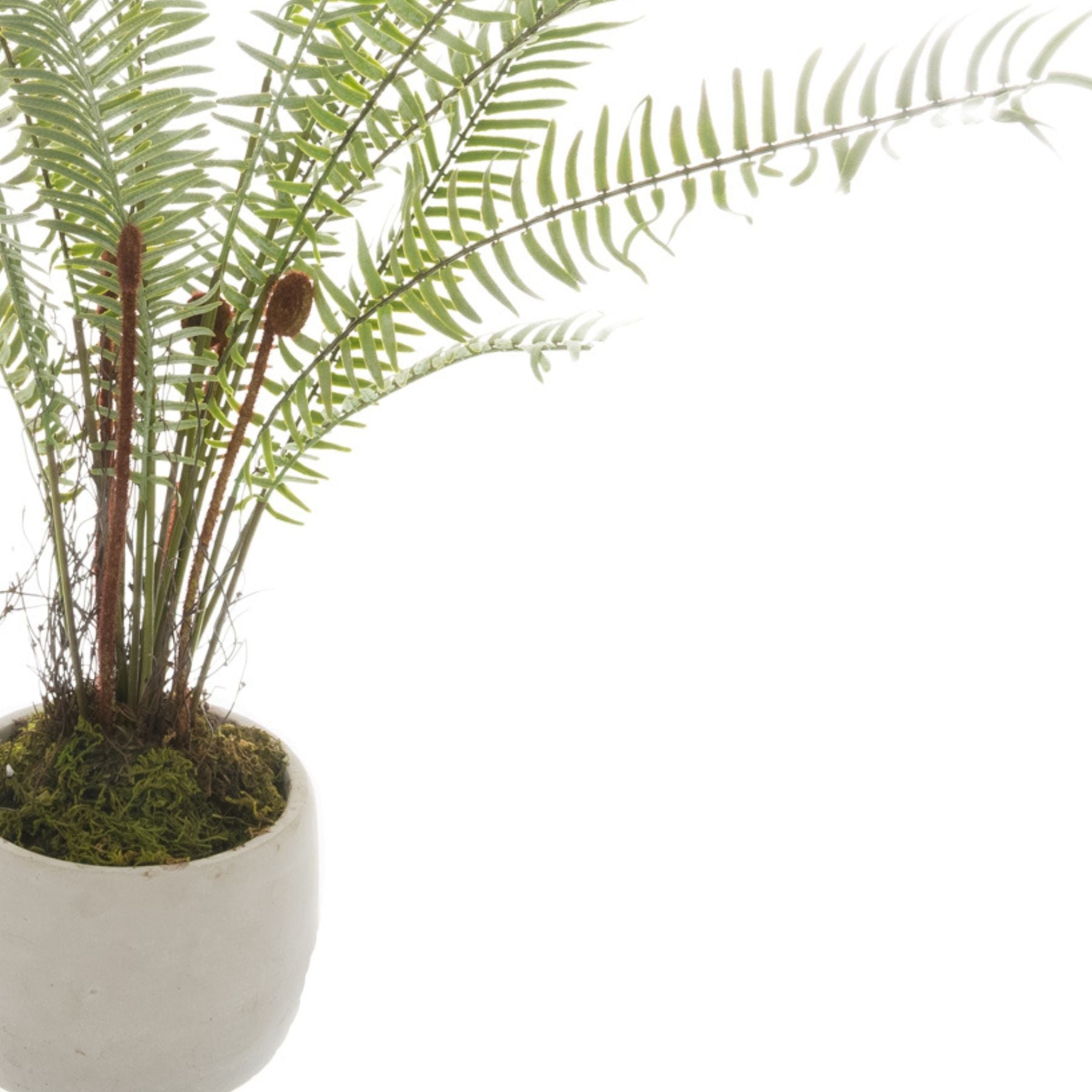 White Potted Faux Boston Fern