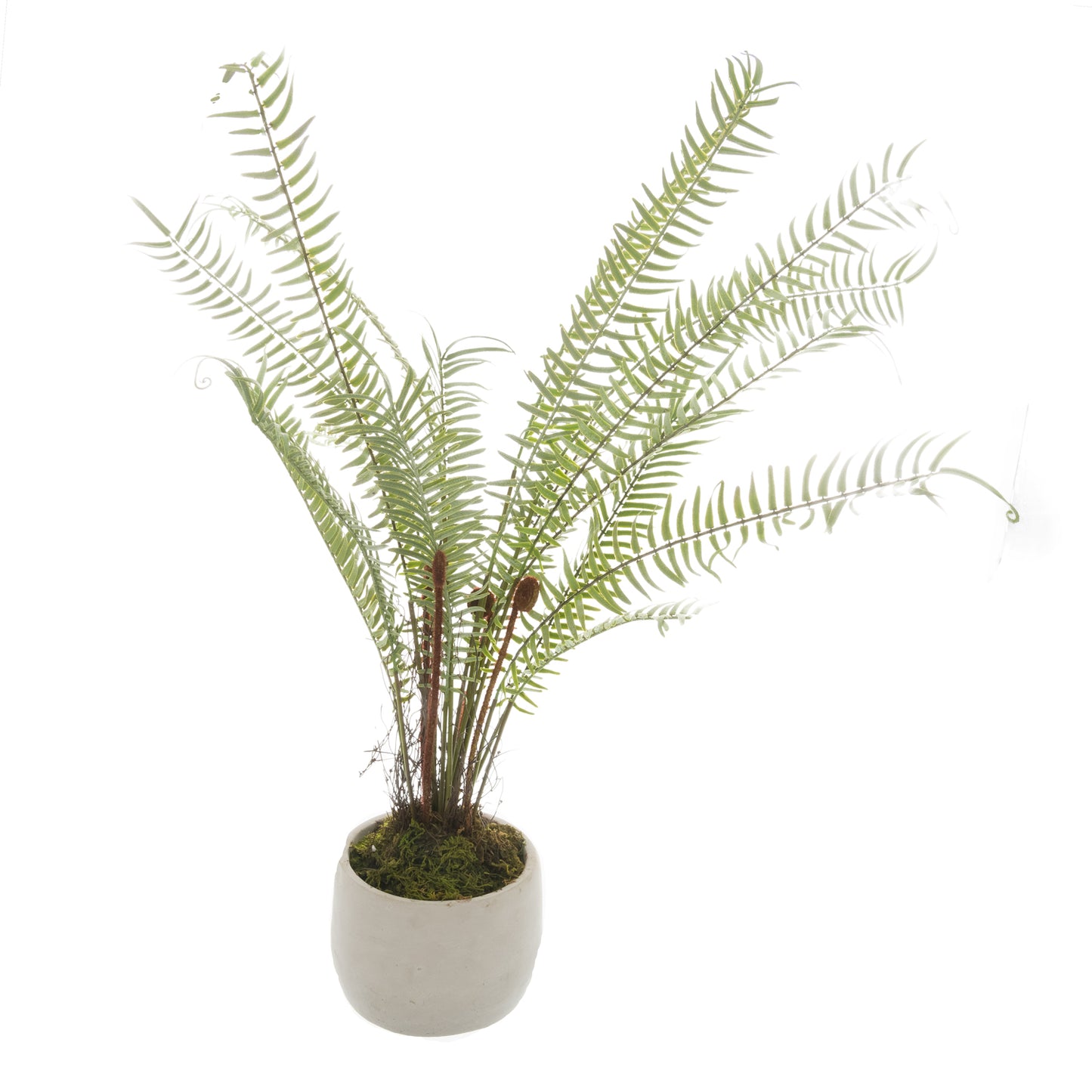 White Potted Faux Boston Fern