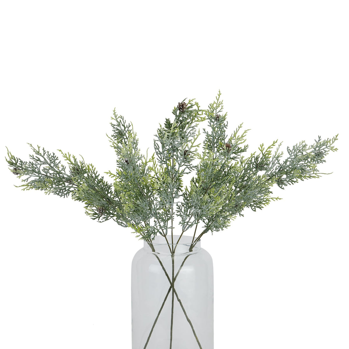 Frosted Pine Tall Stem With Pinecones - PLAINLY DOES IT