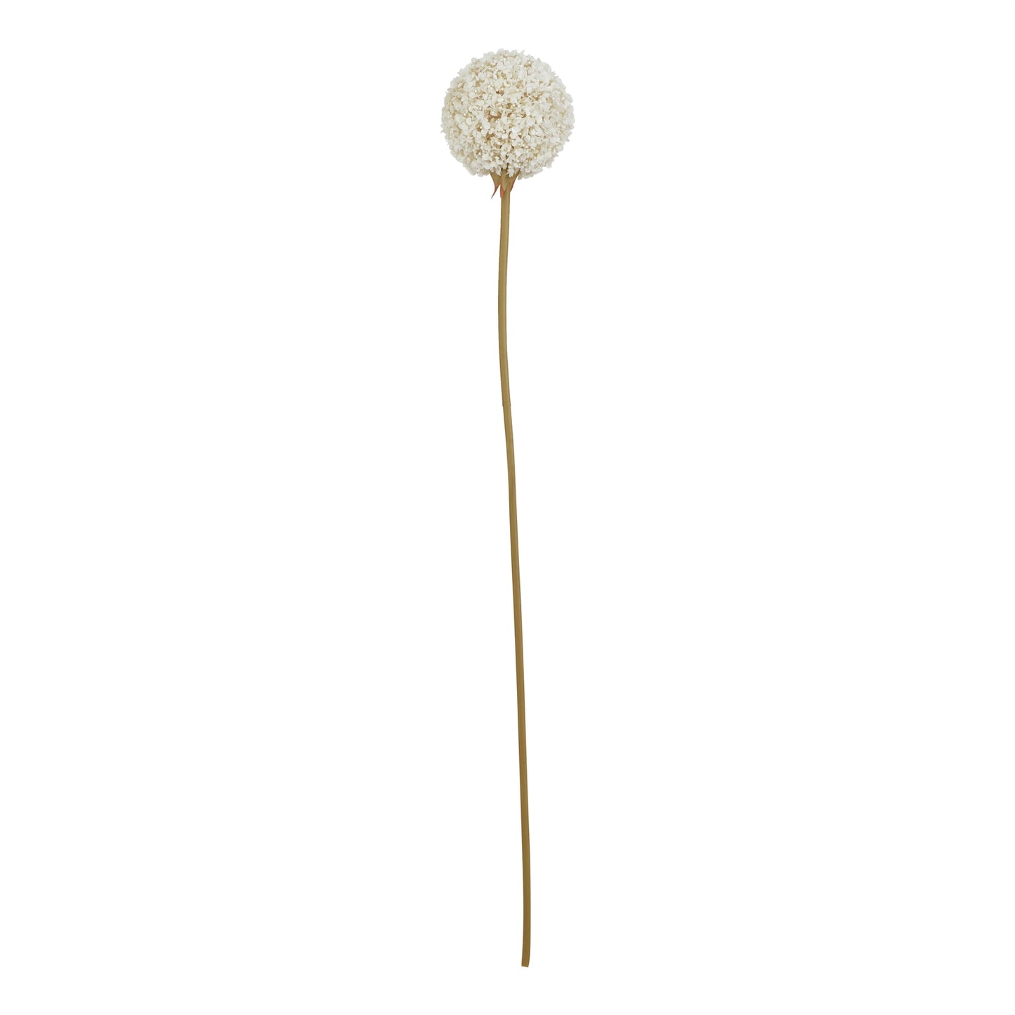 White Faux Allium Stem, 66cm