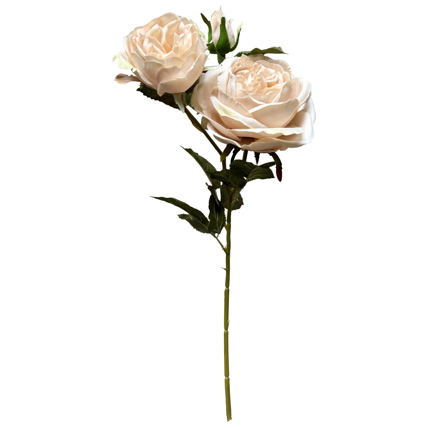 Palest Blush Faux Charity Rose Stem, 58cm